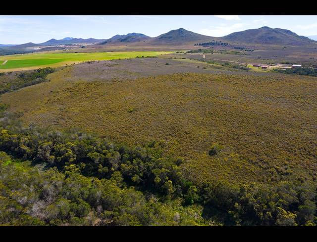27HA VACANT LAND FOR SALE IN HUMANSDORP RURAL